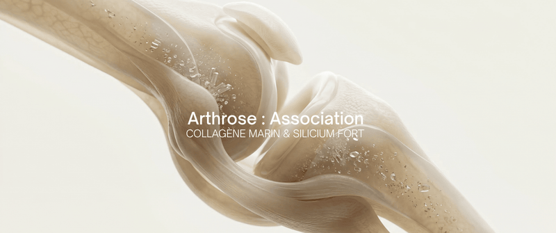 Silicium organique et collagène : le duo naturel contre l'arthrose