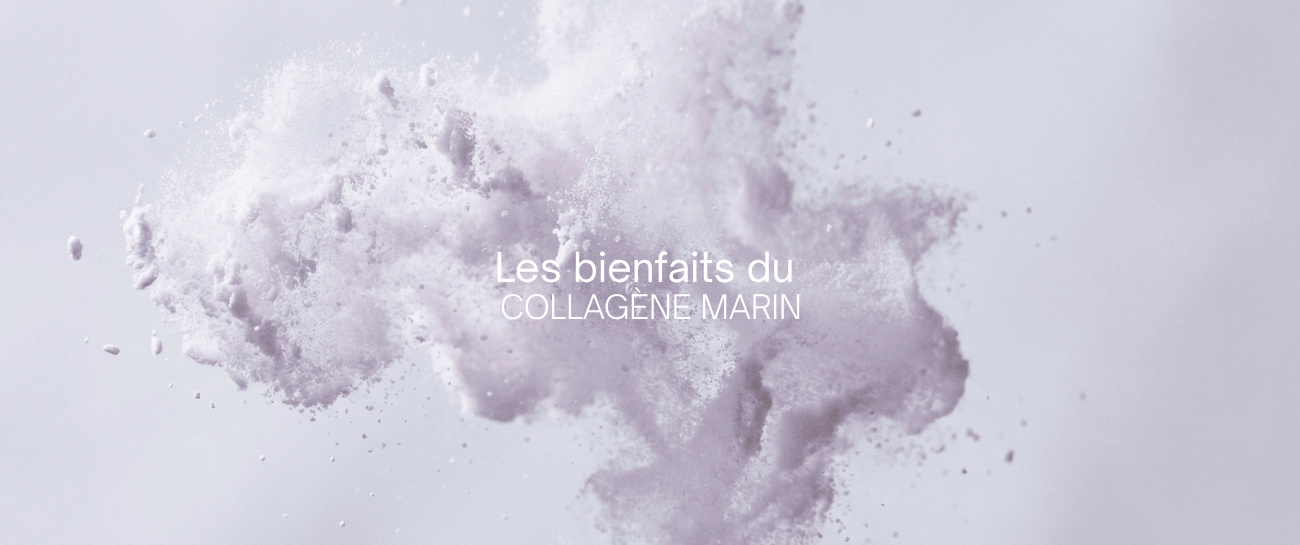 Peptides de collagène en gros plan avec produit Be Healthy Collagène Stick