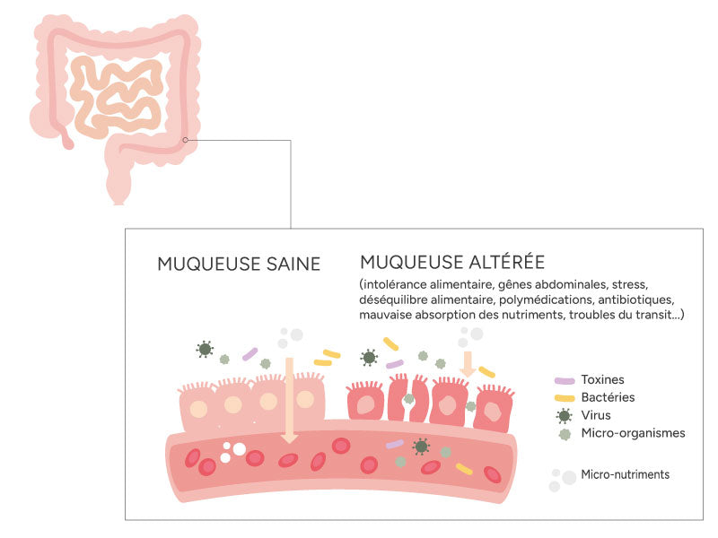 Preuve médicale